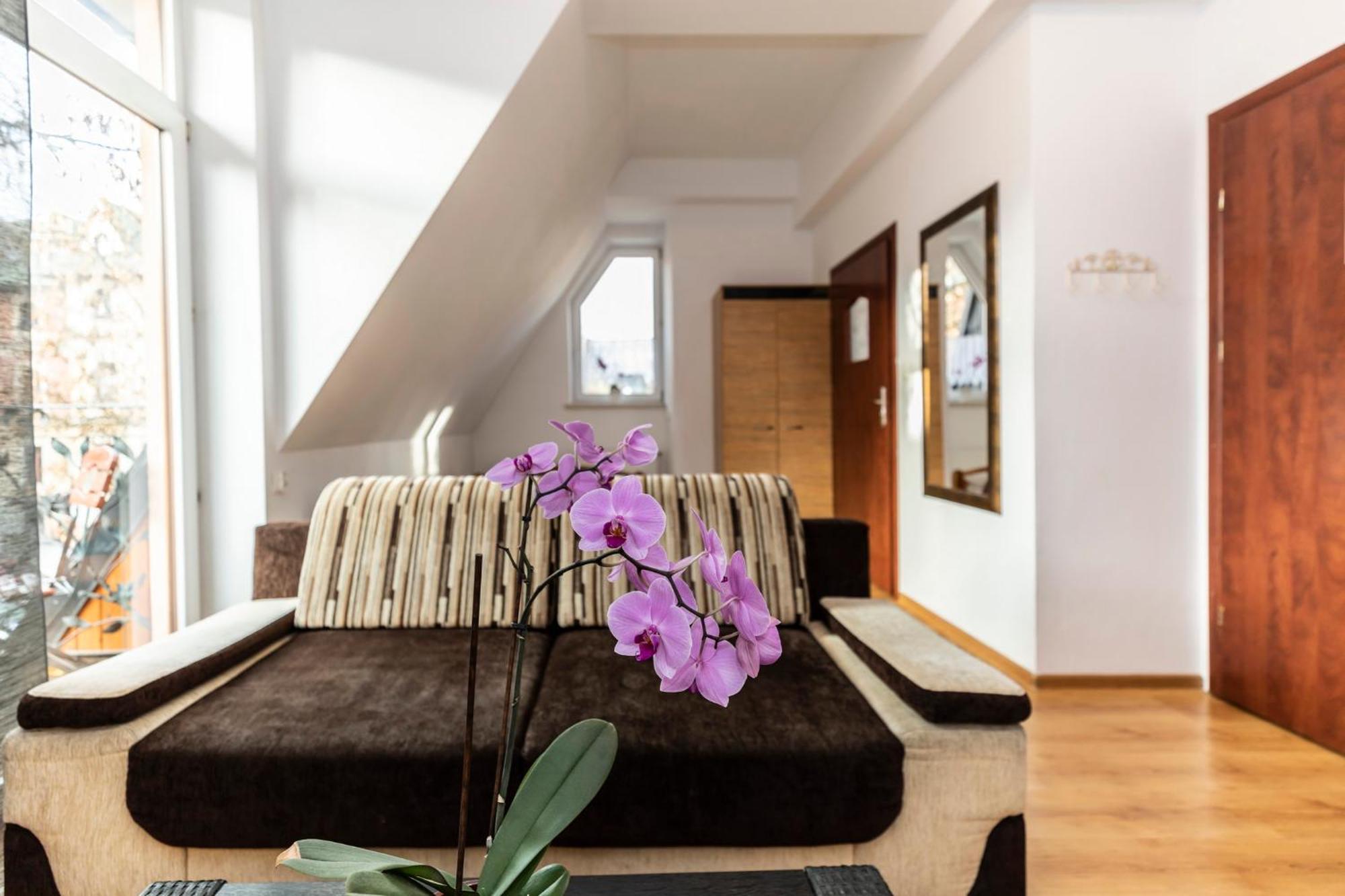 Brzoza W Centrum Zakopanego Exteriér fotografie